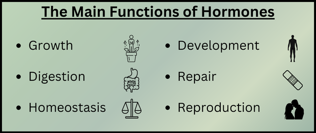 Growth Digestion Homeostasis (1)